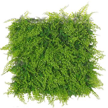 Helecho decorativo «seto de ciprés» / estera DIANTA, crossdoor, 50 x 50 cm