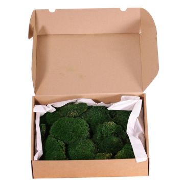 Musgo plano natural DIMITRA, verde, 800 g, 0,15 m² Musgo plano natural DIMITRA, verde, 800 g, 0,15 m²