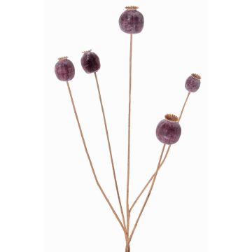 Cápsula de amapola sintética FILOMELA, marrón oscuro, 75cm, Ø2-3,5cm