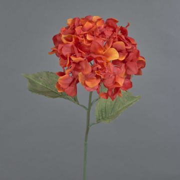 Flor decorativa de hortensia URANIA, aspecto seco, rojo anaranjado, 75 cm, Ø 20 cm Flor decorativa de hortensia URANIA, aspecto seco, rojo anaranjado, 75 cm, Ø 20 cm