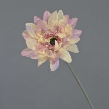 Gerbera artificial PAMILLA, rosa antiguo-crema, 65 cm, Ø 12 cm Gerbera artificial PAMILLA, rosa antiguo-crema, 65 cm, Ø 12 cm