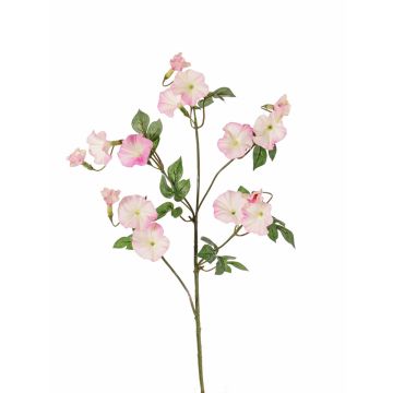 Campanilla de plástico IORDANIS, rosa y blanco, 80 cm, Ø 3-5,5 cm Campanilla de plástico IORDANIS, rosa y blanco, 80 cm, Ø 3-5,5 cm