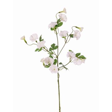 Campanilla de plástico IORDANIS, blanca, 80 cm, Ø 3-5,5 cm Campanilla de plástico IORDANIS, blanca, 80 cm, Ø 3-5,5 cm