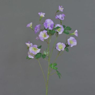 Enredadera de embudo de plástico IORDANIS, lila-verde, 80 cm, Ø 3-5,5 cm Enredadera de embudo de plástico IORDANIS, lila-verde, 80 cm, Ø 3-5,5 cm
