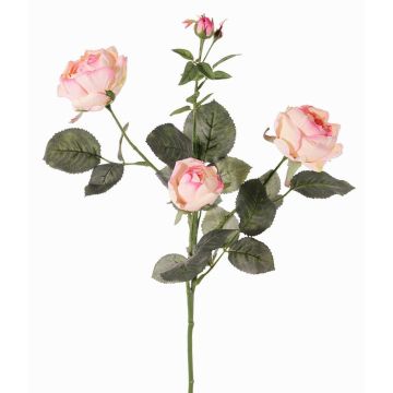 Rama de rosa decorativa DIAMANTIS, rosa-crema, 75 cm, Ø 5-8 cm
