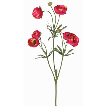 Ranúnculo de terciopelo YARIS, rosa-verde, 65 cm, Ø 3-4,5 cm Ranúnculo de terciopelo YARIS, rosa-verde, 65 cm, Ø 3-4,5 cm
