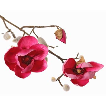 Rama decorativa de magnolia KOSTAS, rosa, 55 cm, Ø 6-8 cm Rama decorativa de magnolia KOSTAS, rosa, 55 cm, Ø 6-8 cm