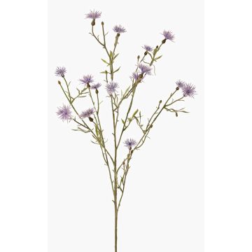 Rama decorativa de aciano ZENOBIOS, azul-lila, 80 cm, Ø 3-4 cm Rama decorativa de aciano ZENOBIOS, azul-lila, 80 cm, Ø 3-4 cm