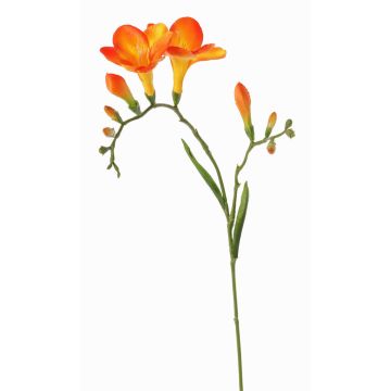 Flor decorativa fresia MARUSHA, naranja, 70 cm, Ø 6 cm Flor decorativa fresia MARUSHA, naranja, 70 cm, Ø 6 cm