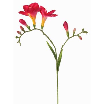 Flor decorativa fresia MARUSHA, rosa, 70 cm, Ø 6 cm Flor decorativa fresia MARUSHA, rosa, 70 cm, Ø 6 cm