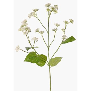 Rama artificial de eupatorio KORALIA, color crema, 80 cm, Ø 4-7 cm Rama artificial de eupatorio KORALIA, color crema, 80 cm, Ø 4-7 cm