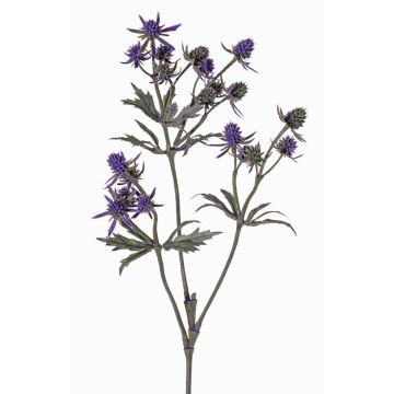 Rama decorativa de cardo noble KALYPSO, violeta oscuro, 65cm, Ø3-4cm Rama decorativa de cardo noble KALYPSO, violeta oscuro, 65cm, Ø3-4cm