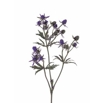 Rama decorativa de cardo noble KALYPSO, violeta oscuro, 65 cm, Ø 3-4 cm