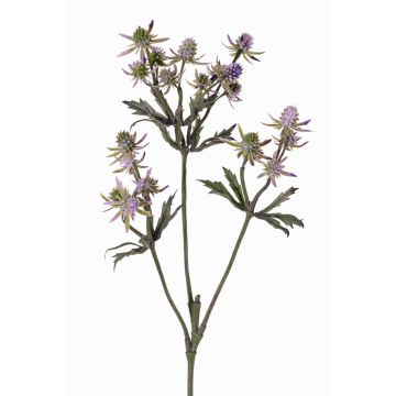 Rama decorativa de cardo noble KALYPSO, lila, 65cm, Ø3-4cm Rama decorativa de cardo noble KALYPSO, lila, 65cm, Ø3-4cm