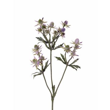 Rama decorativa de cardo noble KALYPSO, lila, 65 cm, Ø 3-4 cm