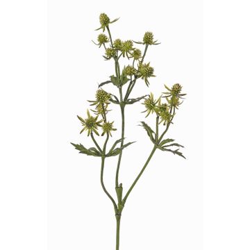 Rama decorativa de cardo noble KALYPSO, verde, 65cm, Ø3-4cm Rama decorativa de cardo noble KALYPSO, verde, 65cm, Ø3-4cm