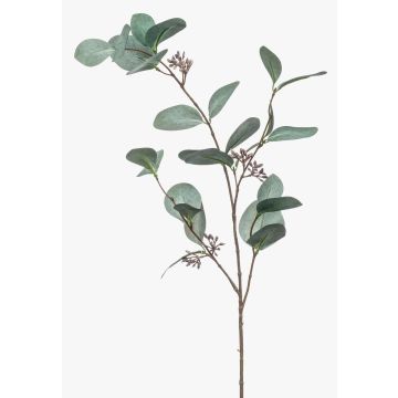 Rama decorativa de eucalipto MAXEN con frutos, verde-gris, 75 cm Rama decorativa de eucalipto MAXEN con frutos, verde-gris, 75 cm