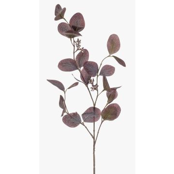 Rama decorativa de eucalipto MAXEN con frutos, violeta-gris, 75 cm