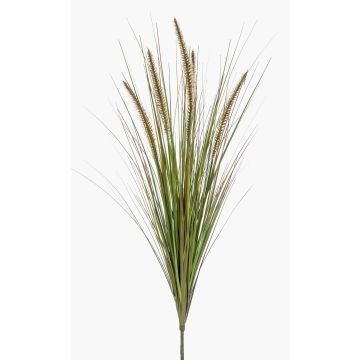 Planta artificial de hierba «Federborstengras» YWAIN, panículas, varilla de sujeción, beige-verde, 70 cm Planta artificial de hierba «Federborstengras» YWAIN, panículas, varilla de sujeción, beige-verde, 70 cm