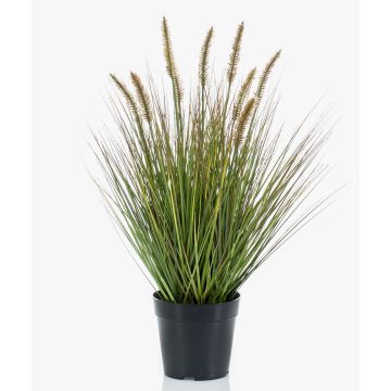 Planta artificial de hierba «Federborstengras» YWAIN con espigas, beige-verde, 60 cm