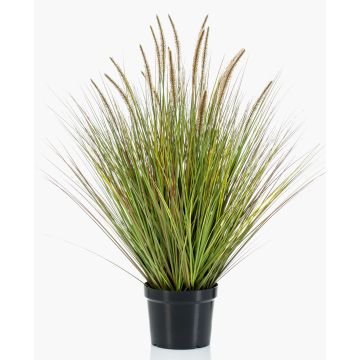 Planta artificial: hierba de plumas YWAIN con panículas, beige-verde, 100cm Planta artificial: hierba de plumas YWAIN con panículas, beige-verde, 100cm
