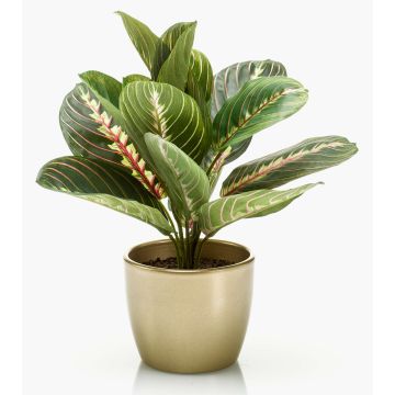 Planta artificial de situla en maceta de cerámica dorada, verde-rojo, 30 cm