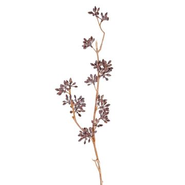 Rama de eucalipto artificial SOHA con frutos, marrón, 60 cm Rama de eucalipto artificial SOHA con frutos, marrón, 60 cm