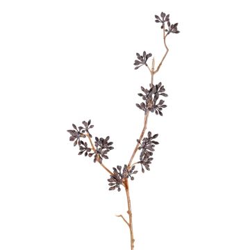 Rama de eucalipto artificial SOHA con frutos, marrón oscuro, 60 cm Rama de eucalipto artificial SOHA con frutos, marrón oscuro, 60 cm