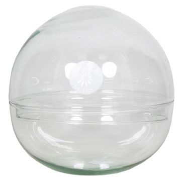 Terrario de cristal redondo BRYSON, transparente, 19,5cm, Ø19,5cm Terrario de cristal redondo BRYSON, transparente, 19,5cm, Ø19,5cm