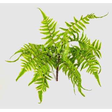 Helecho de canela de espuma sintética VIRGINS en varilla, verde, 30 cm, Ø 40 cm