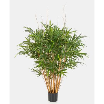 Bambú decorativo AFONSO, troncos naturales, 125 cm