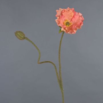 Amapola artificial HASNA, melocotón, 75 cm, Ø 11 cm Amapola artificial HASNA, melocotón, 75 cm, Ø 11 cm