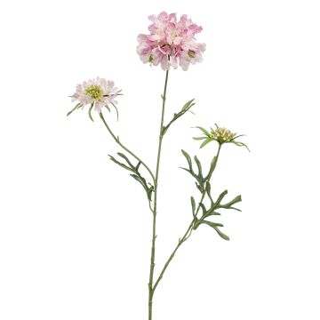 Rama artificial de escabiosa MARUA, rosa, 80 cm