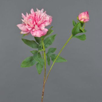 Peonía artificial BADIS, rosa, 75 cm, Ø 13 cm Peonía artificial BADIS, rosa, 75 cm, Ø 13 cm