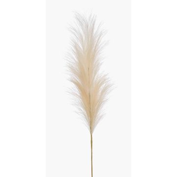 Planta artificial de hierba de la pampa con espiga AMATSIA, color crema, 115 cm Planta artificial de hierba de la pampa con espiga AMATSIA, color crema, 115 cm