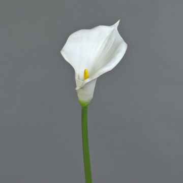 Calla artificial DAISCHI, blanca, 70 cm, 11 x 14 cm Calla artificial DAISCHI, blanca, 70 cm, 11 x 14 cm
