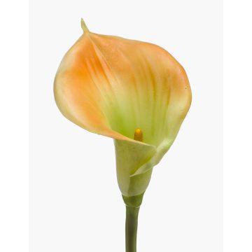 Calla artificial DAISCHI, amarillo verdoso, 70 cm, 11 x 14 cm Calla artificial DAISCHI, amarillo verdoso, 70 cm, 11 x 14 cm
