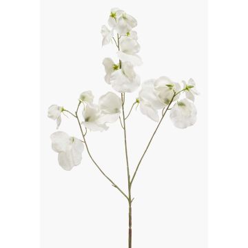 Flor decorativa artificial de guisante de olor KANZI, blanca, 75 cm, Ø 4-7 cm