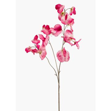 Flor artificial decorativa de guisante de olor KANZI, rosa-crema, 75 cm, Ø 4-7 cm