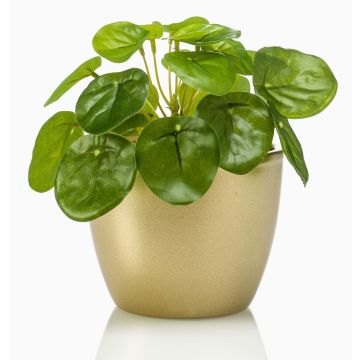 Planta artificial suculenta «Glückstaler» de SYBIL en maceta de cerámica dorada, verde, 13 cm