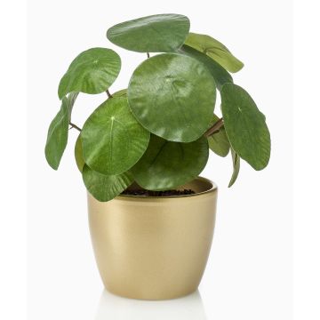 Suculenta artificial «Glückstaler» SYBIL en maceta de cerámica dorada, verde, 20 cm Suculenta artificial «Glückstaler» SYBIL en maceta de cerámica dorada, verde, 20 cm