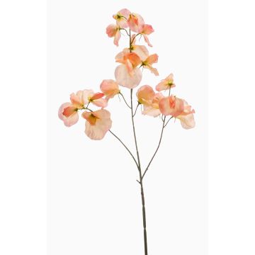 Flor decorativa artificial de guisante de olor KANZI, color melocotón, 75 cm, Ø 4-7 cm Flor decorativa artificial de guisante de olor KANZI, color melocotón, 75 cm, Ø 4-7 cm