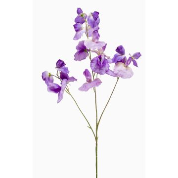 Flor artificial decorativa de guisante de olor KANZI, morada, 75 cm, Ø 4-7 cm