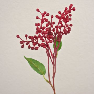 Rama decorativa de bayas de saúco TEITH con frutos, roja, 40 cm Rama decorativa de bayas de saúco TEITH con frutos, roja, 40 cm