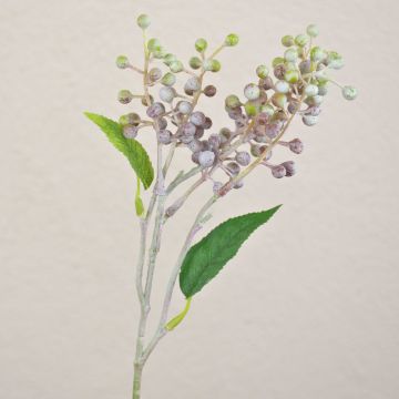 Rama decorativa de bayas de saúco TEITH con frutos, verde-marrón, 40 cm