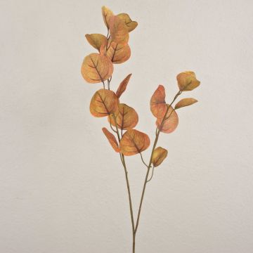 Rama de eucalipto artificial SOPONG, marrón, 80 cm