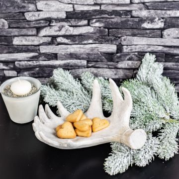 La Navidad es tiempo de galletas