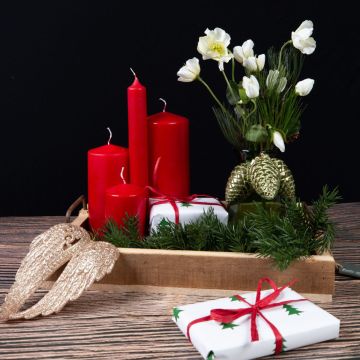 Adviento Celestial Parte 4