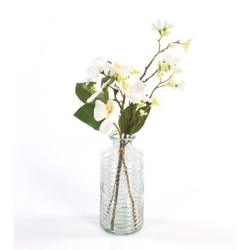 Arreglo de orquídeas de plástico ANOUK con accesorios, crema, 45cm, Ø15cm Arreglo de orquídeas de plástico ANOUK con accesorios, crema, 45cm, Ø15cm