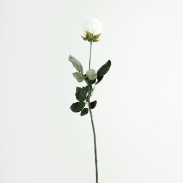 Rosa artificial FREIDA, Colección Eco, blanco-lila, 65 cm, Ø 7 cm Rosa artificial FREIDA, Colección Eco, blanco-lila, 65 cm, Ø 7 cm